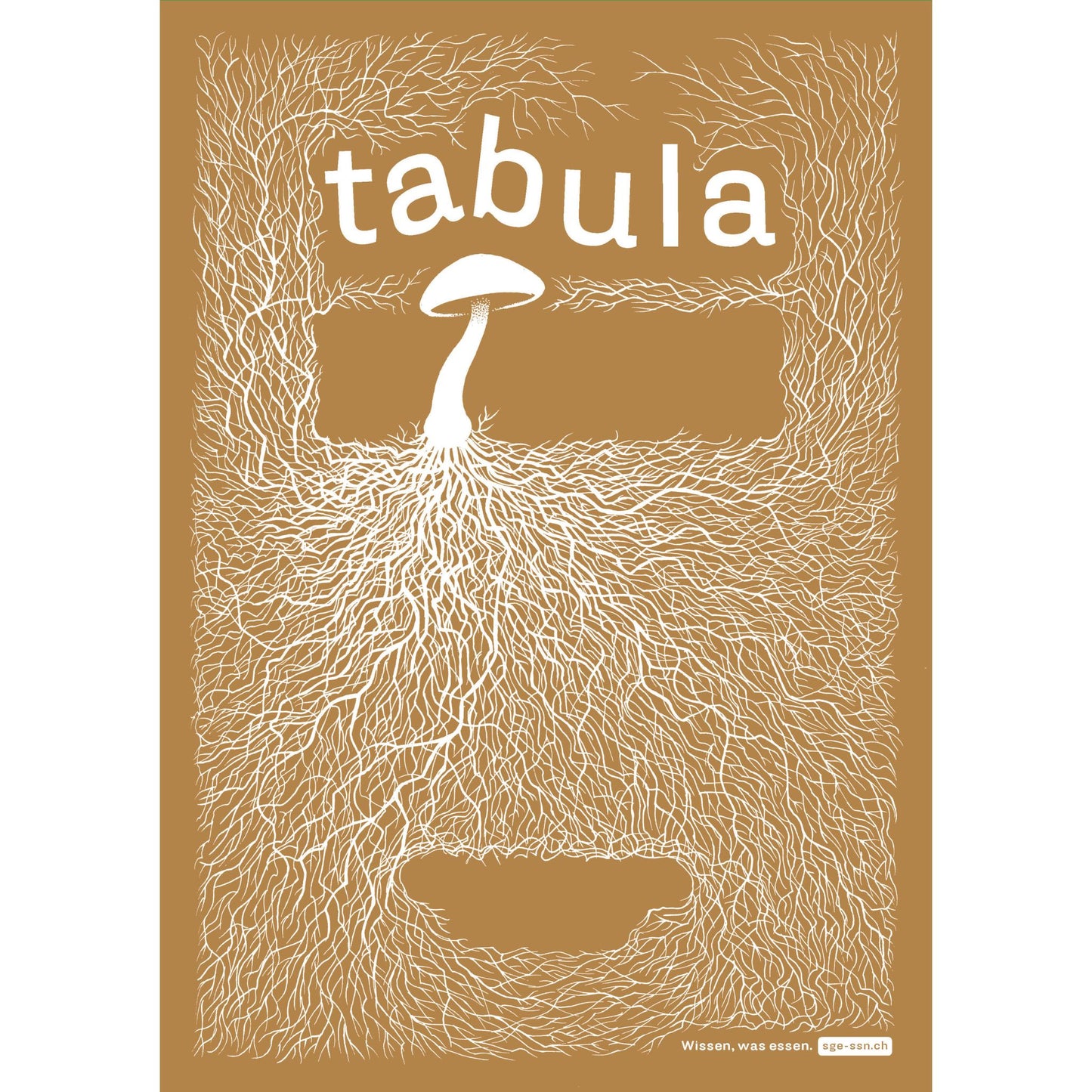 tabula 3/2024 – Les champignons