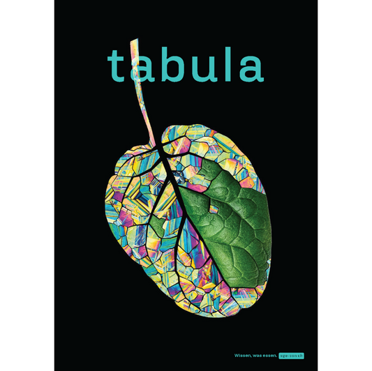 tabula 3/2026 – Folat